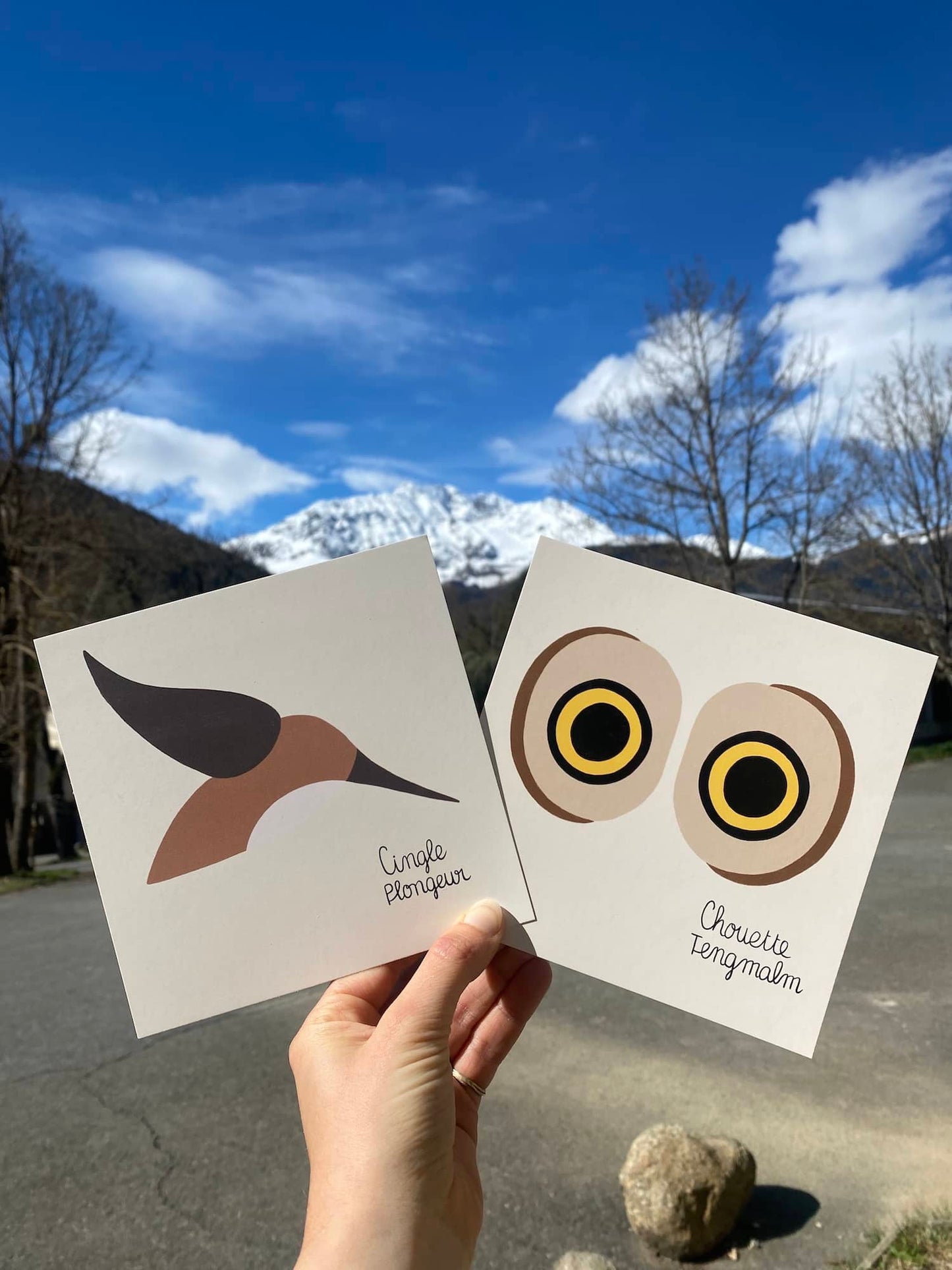 cartes postales carrées, motif animaux, pyrénées marelha & le parc national des pyrénées, france