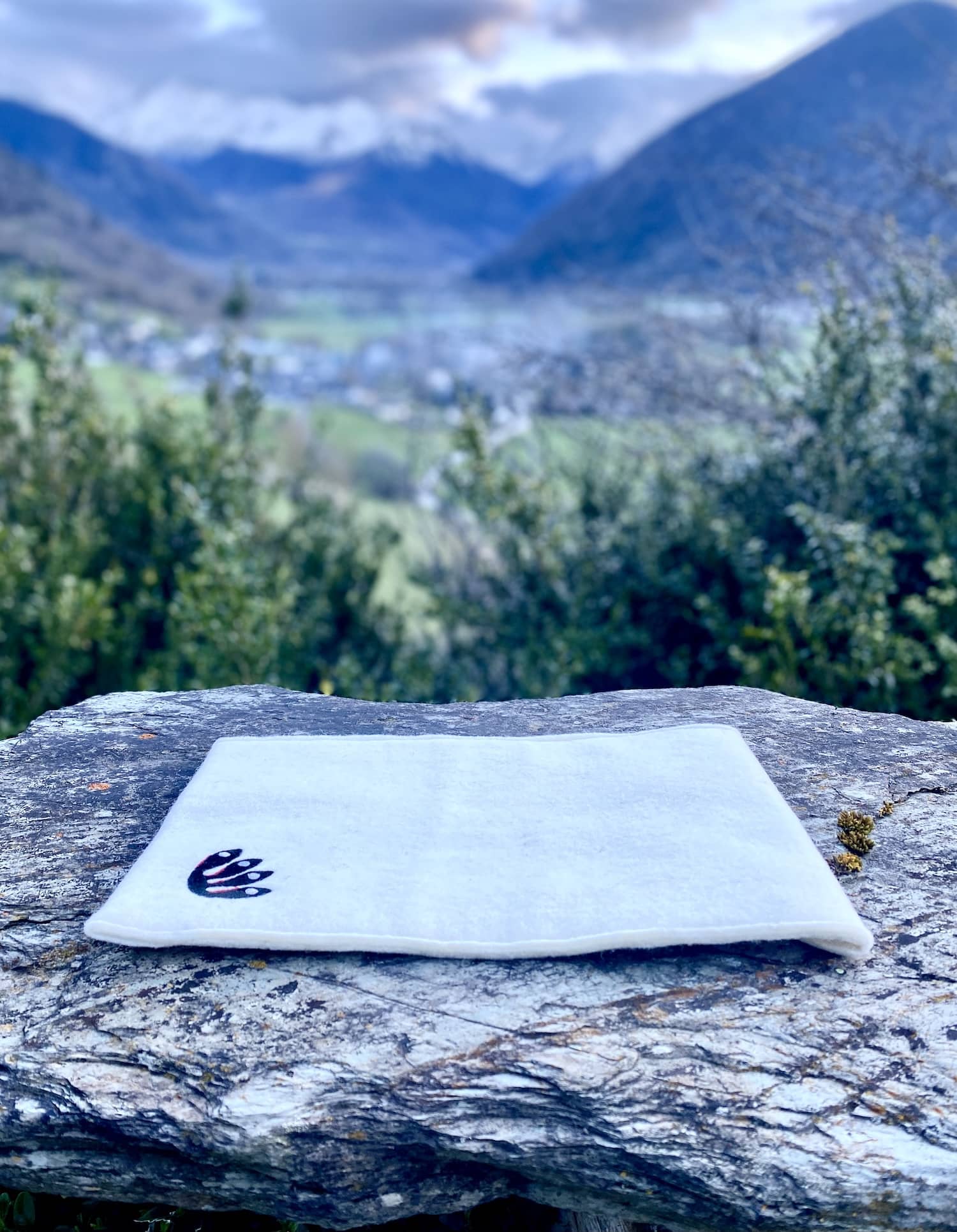 pochette d'ordinateur portable, laine des Pyrénées, 13 pouces, blanc écru, motif animal, marelha & le parc national des pyrénées, france