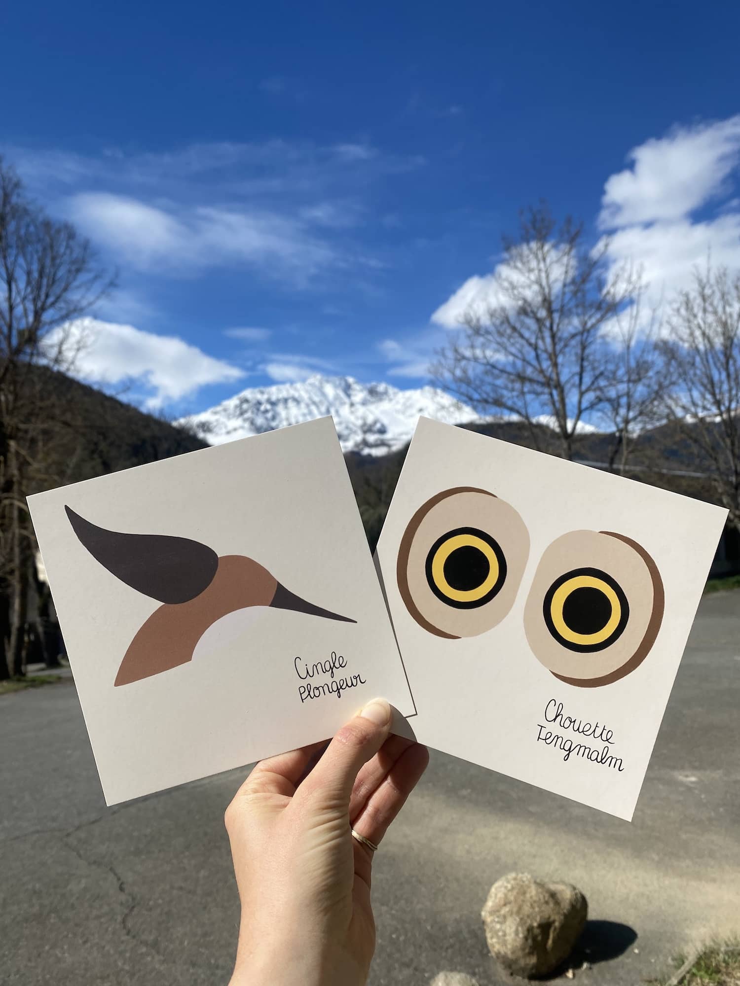 cartes postales carrées, motif animaux, pyrénées marelha & le parc national des pyrénées, france