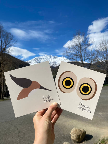 cartes postales carrées, motif animaux, pyrénées marelha & le parc national des pyrénées, france